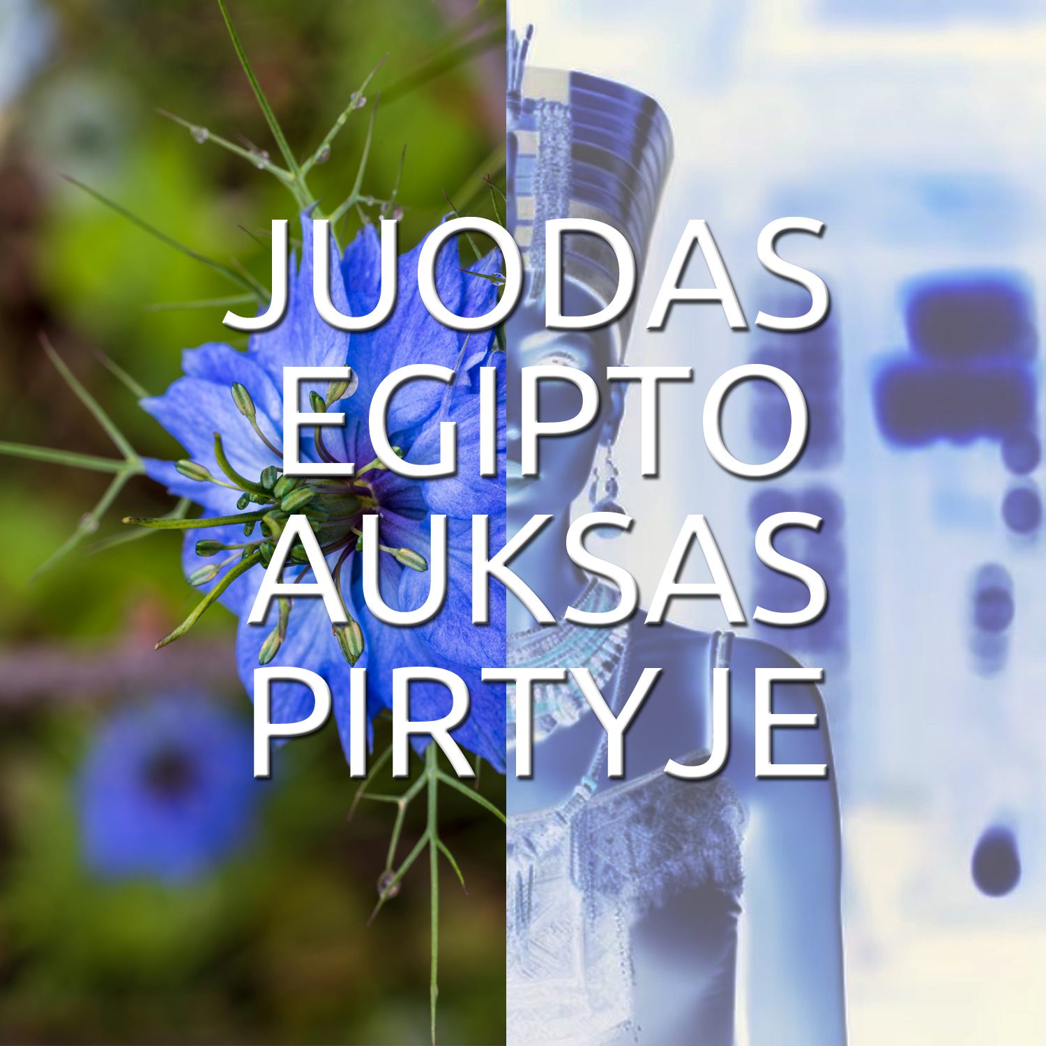 Juodgrude Pirtyje