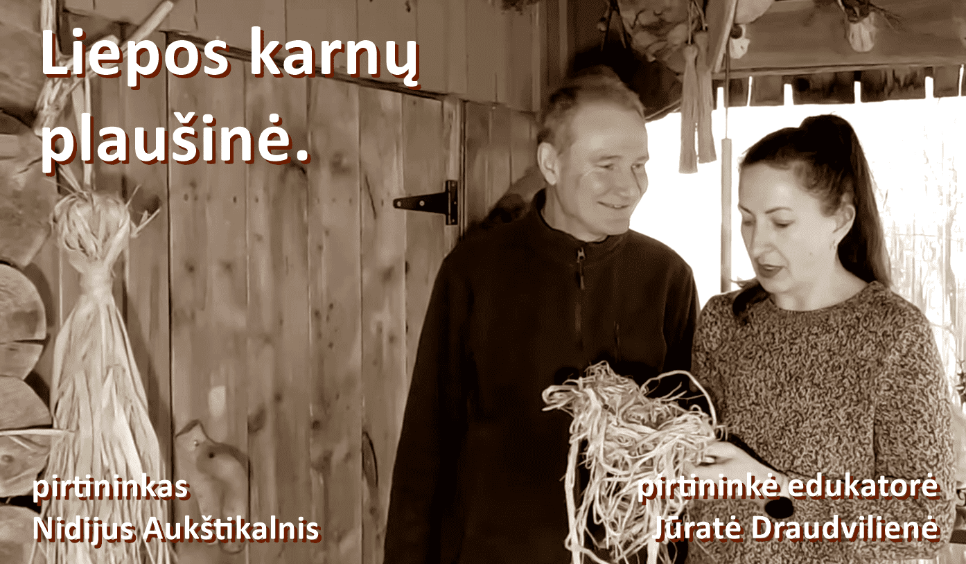 liepos karnų plaušinė