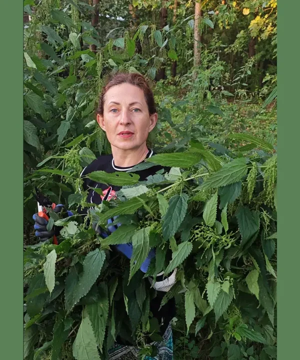 dilgelė pirtyje